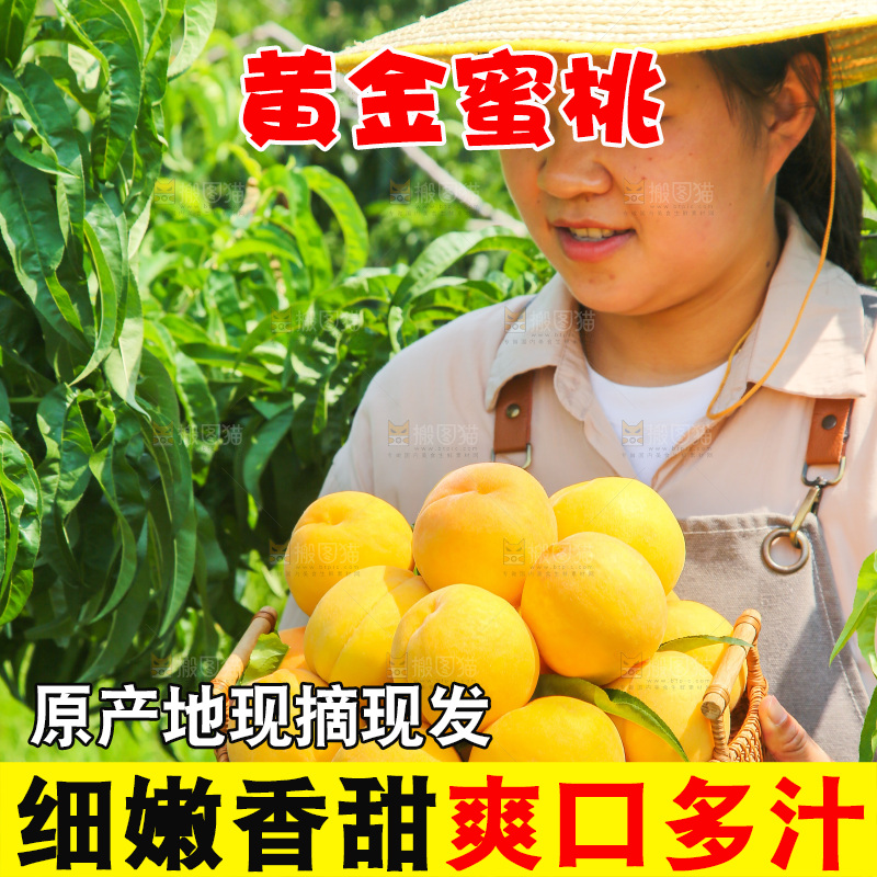 手里拿着黄蜜桃