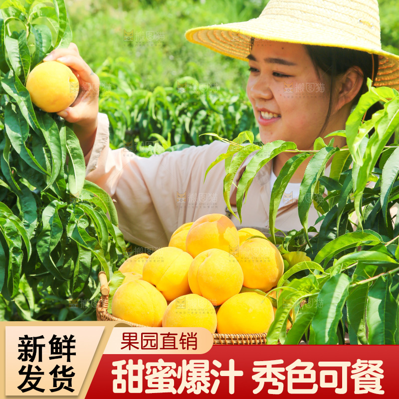 手里拿着黄蜜桃