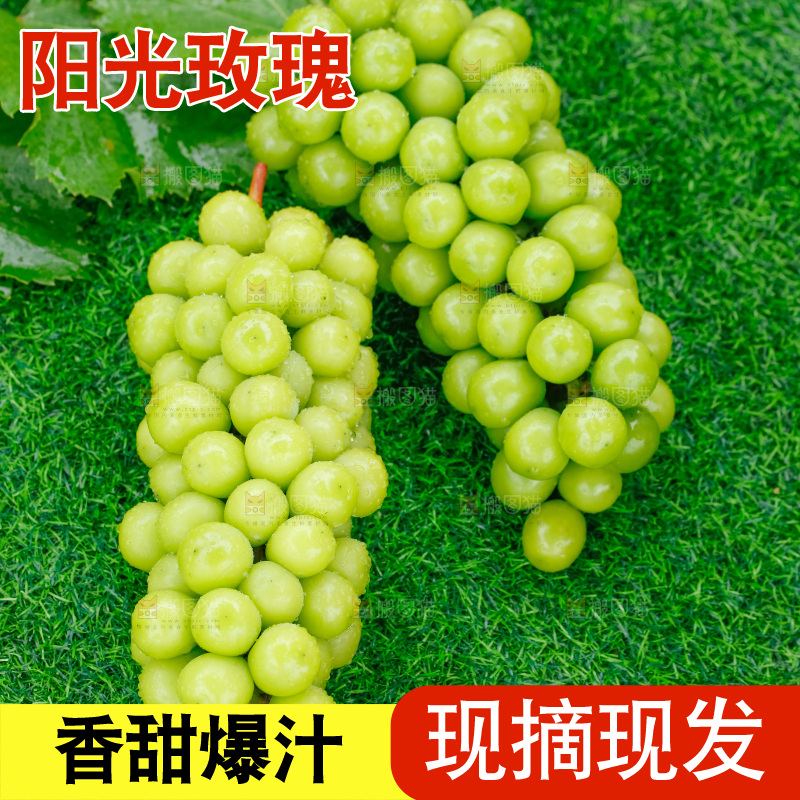 草地上放着阳光玫瑰青提