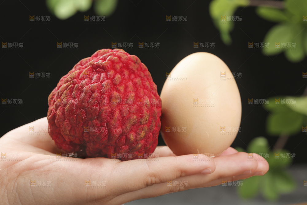 深底上的荔枝王