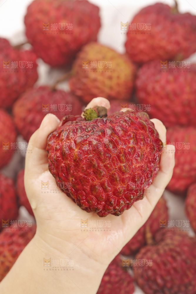 手里拿着荔枝王