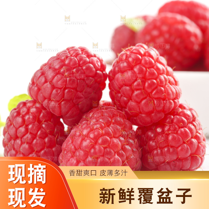 浅底上的新鲜覆盆子