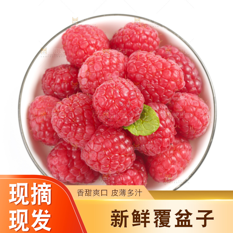浅底上的新鲜覆盆子