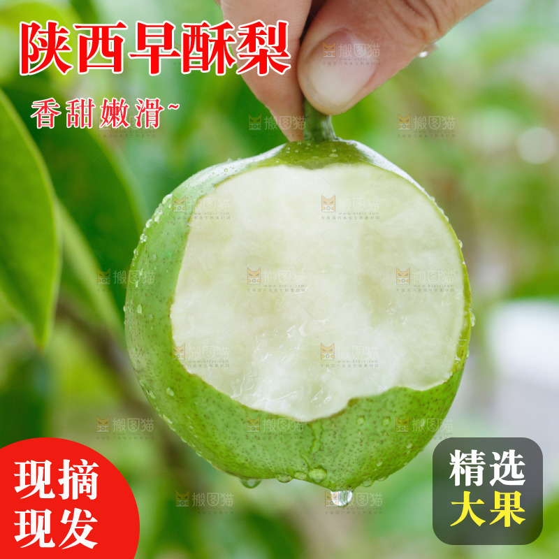 手里拿着早酥梨