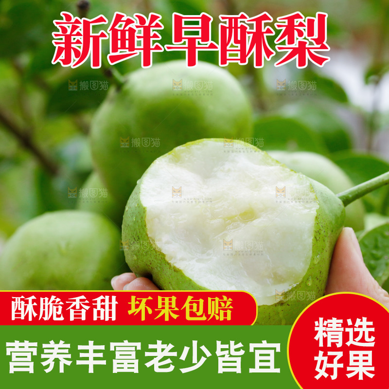 手里拿着早酥梨