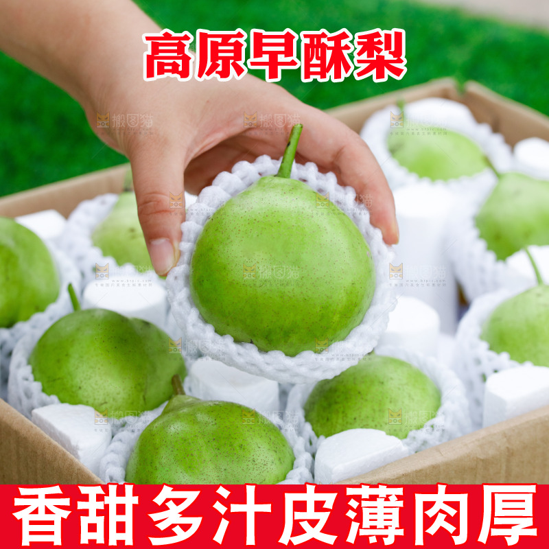 手里拿着早酥梨