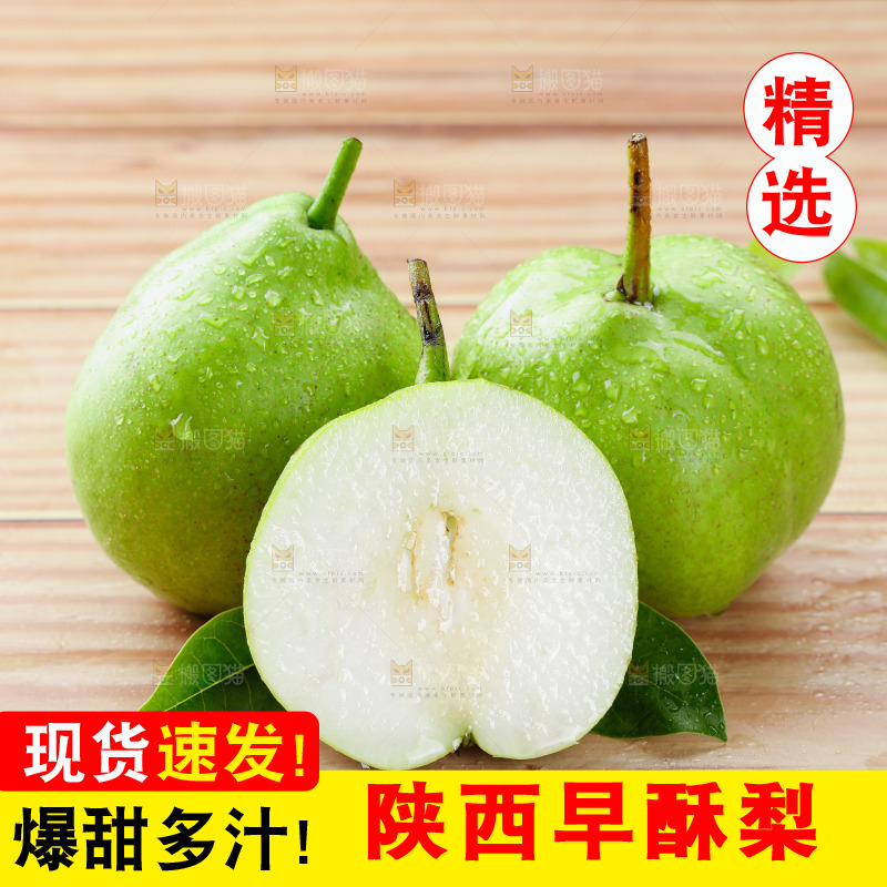 浅底上的早酥梨