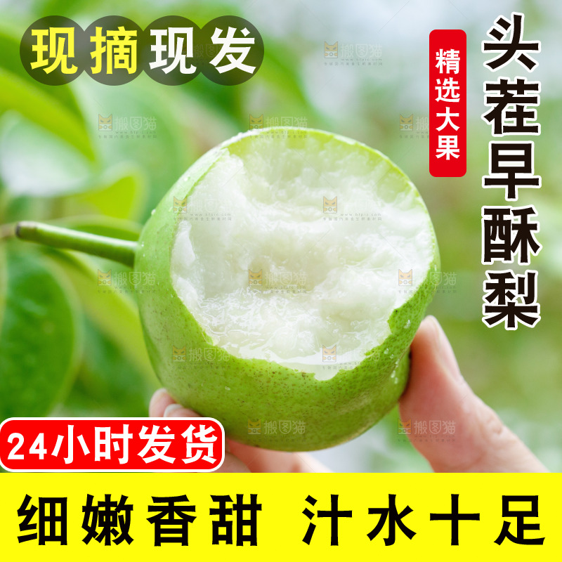 手里拿着早酥梨