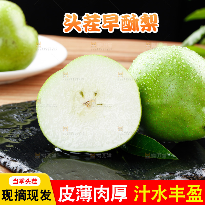 浅底上的早酥梨