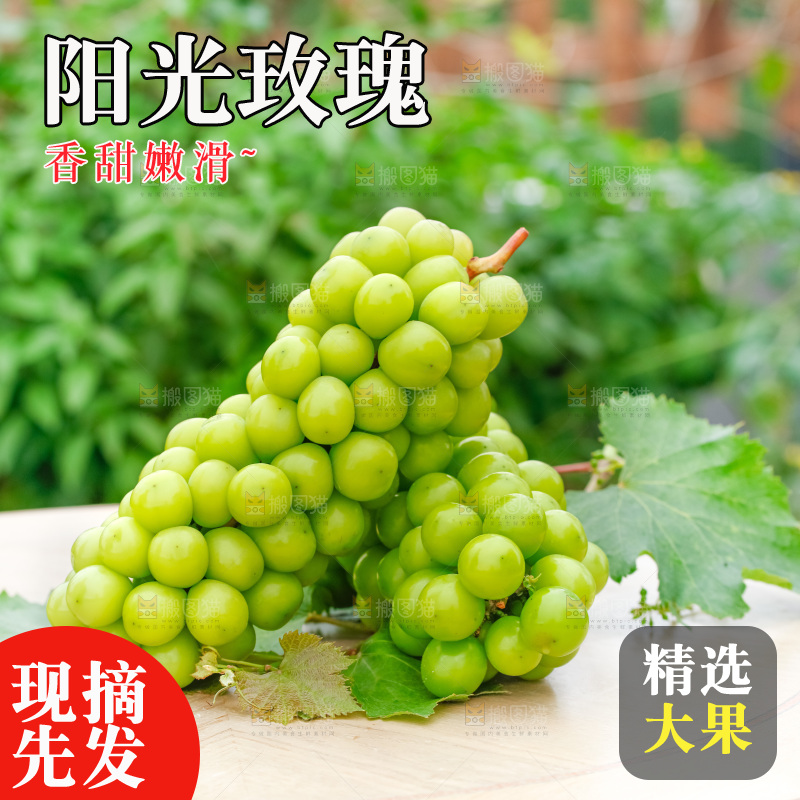 草地上放着阳光玫瑰青提