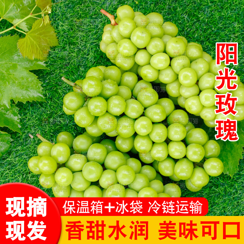 草地上放着阳光玫瑰青提