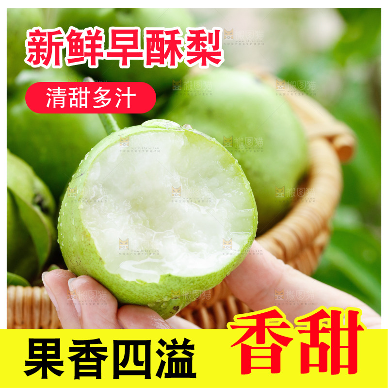 手里拿着早酥梨