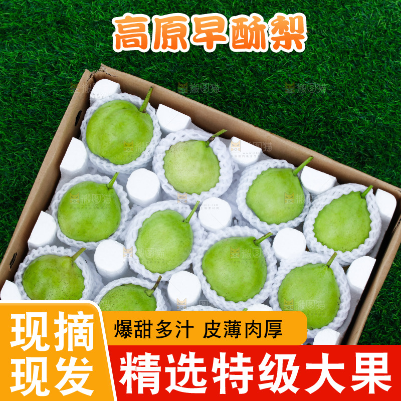 草地上的一箱早酥梨