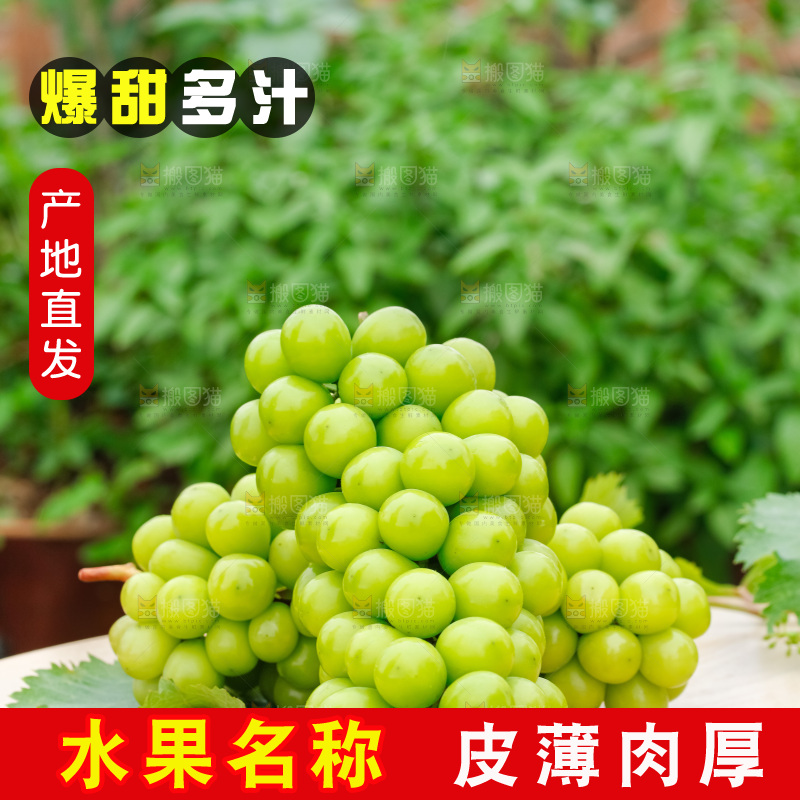 草地上放着阳光玫瑰青提