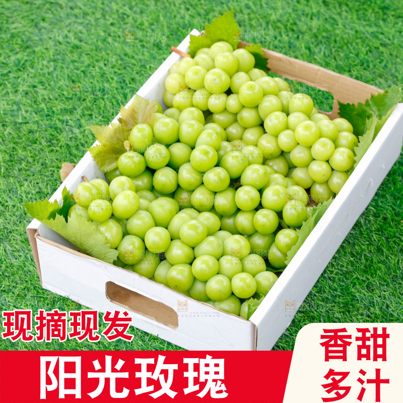 草地上放着阳光玫瑰青提