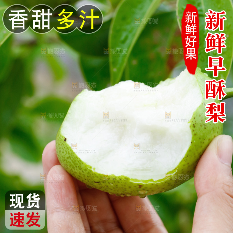 手里拿着早酥梨
