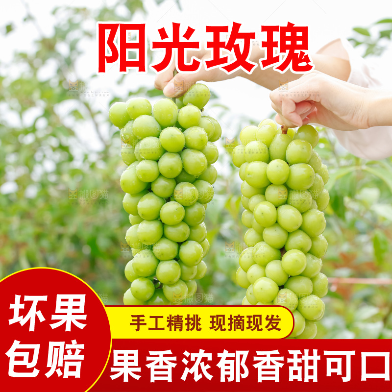 手里拿着阳光玫瑰
