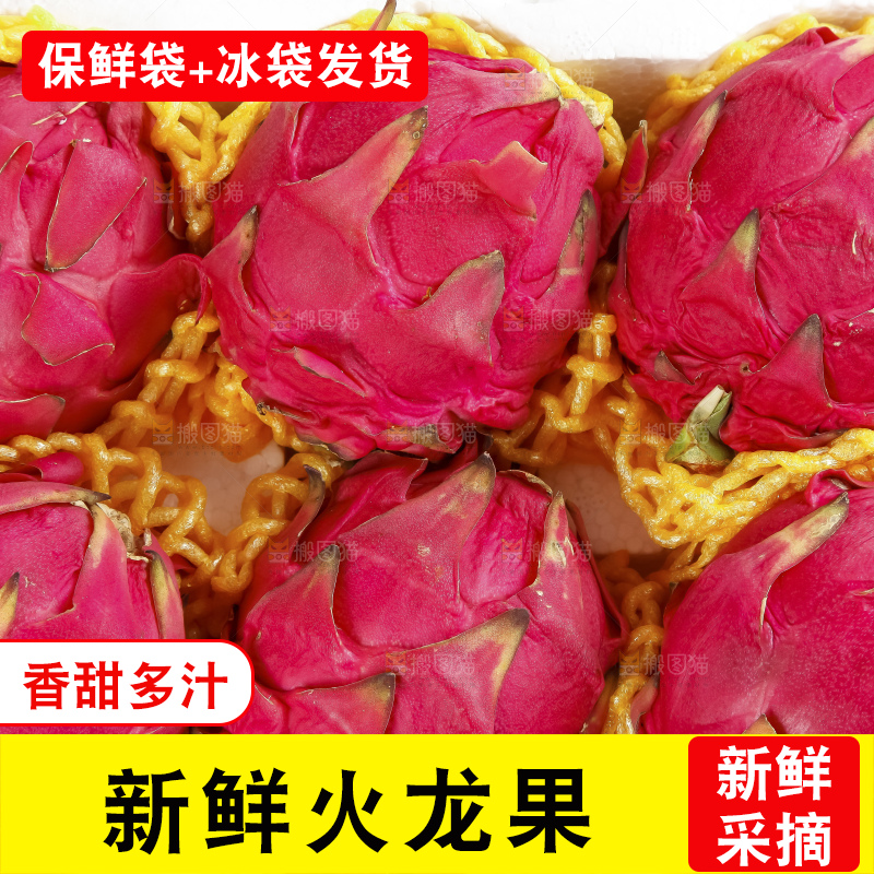 浅底上的红心火龙果