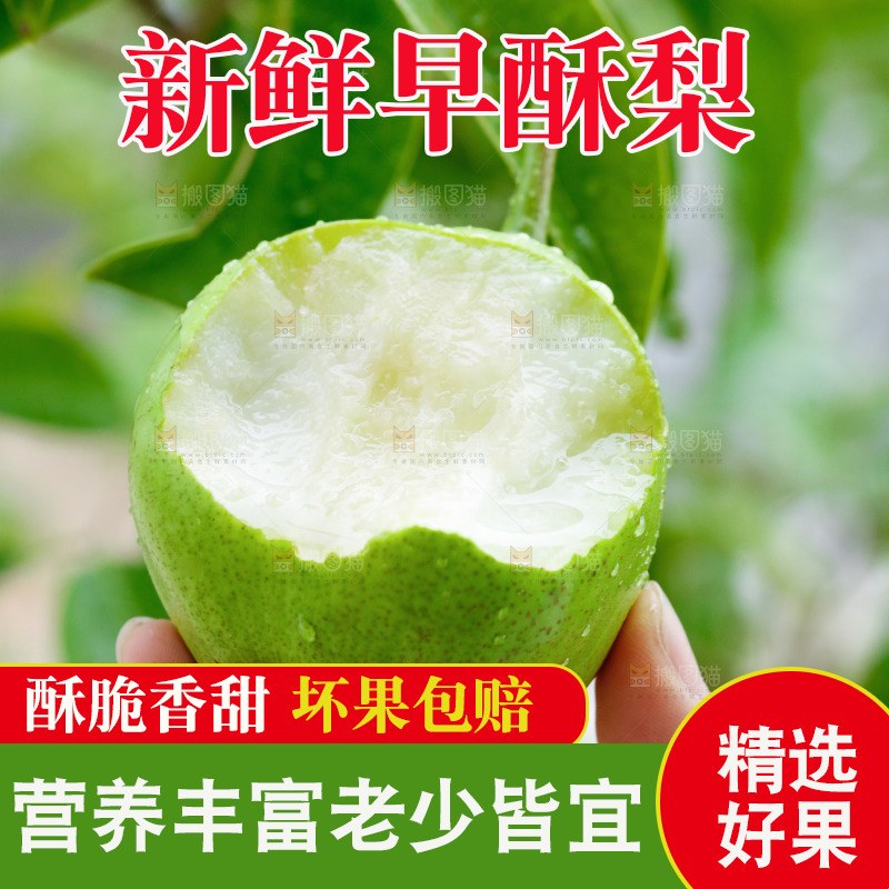 手里拿着早酥梨