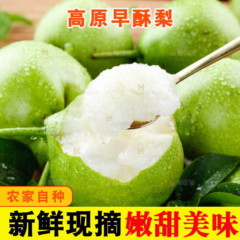 浅底上的早酥梨