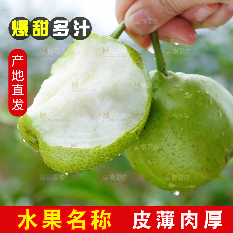 手里拿着早酥梨