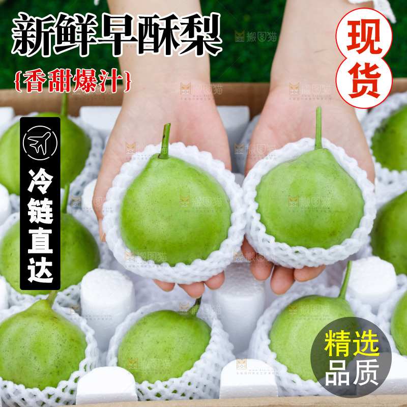手里拿着早酥梨