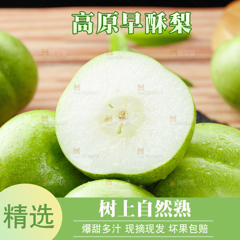 浅底上的早酥梨