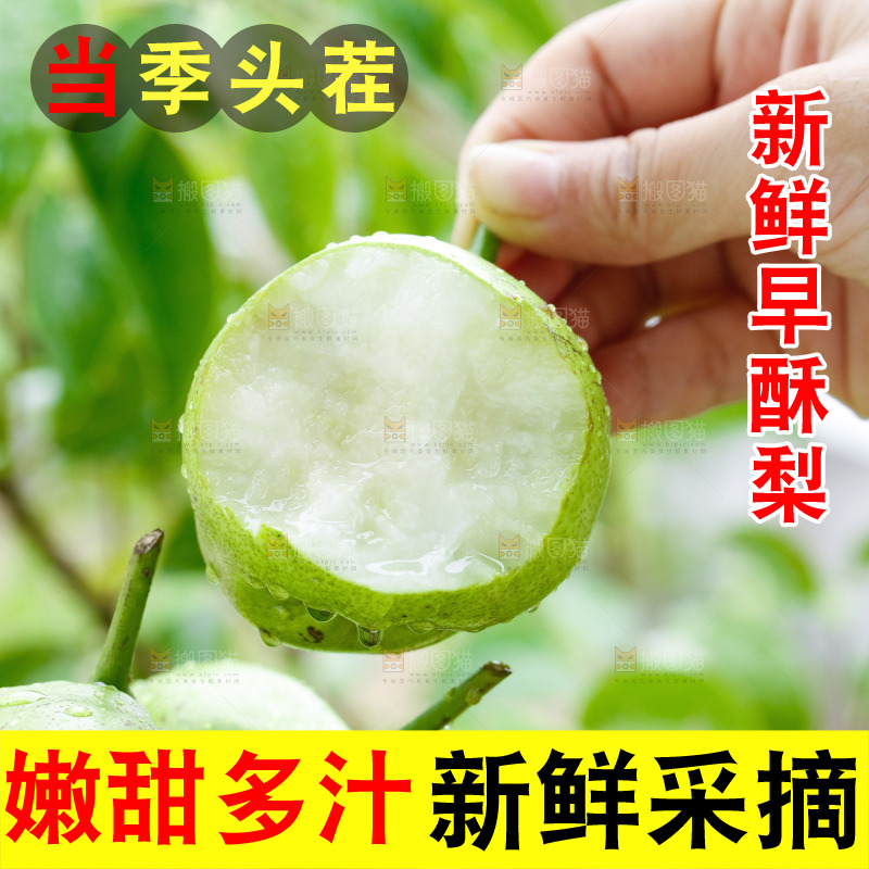 手里拿着早酥梨