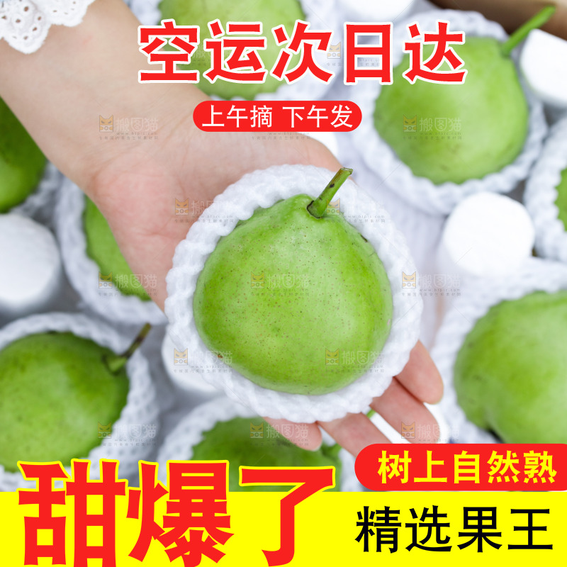 手里拿着早酥梨