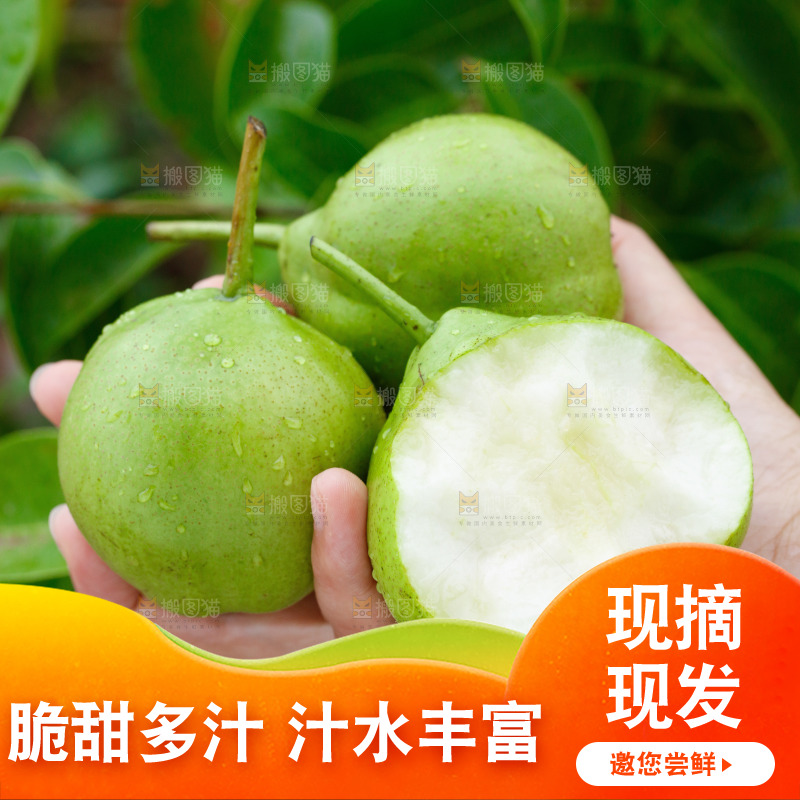 手里拿着早酥梨