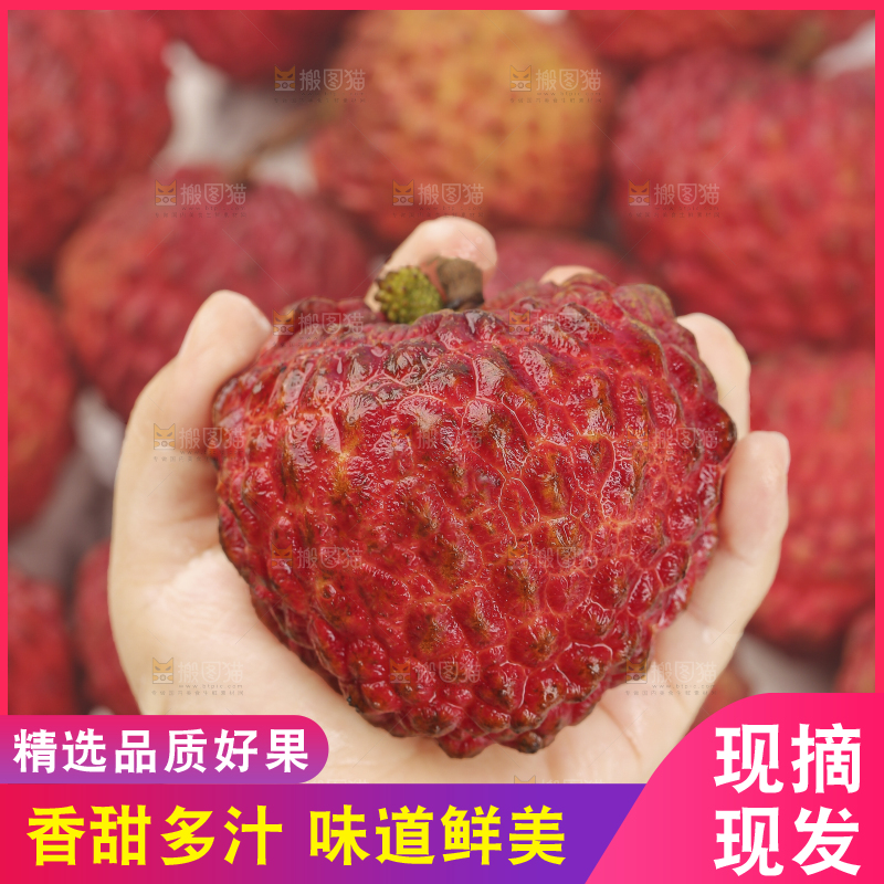 手里拿着荔枝王