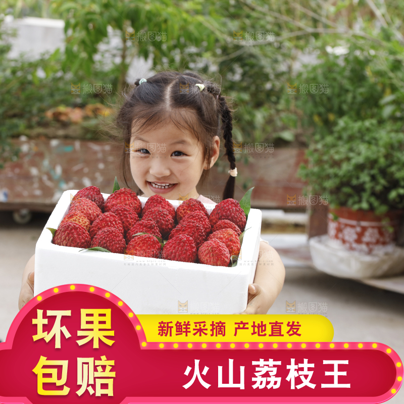 手里拿着荔枝王