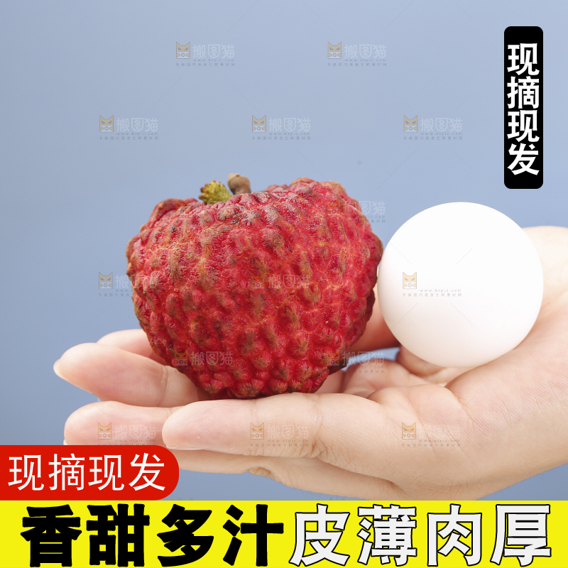 手里拿着荔枝王