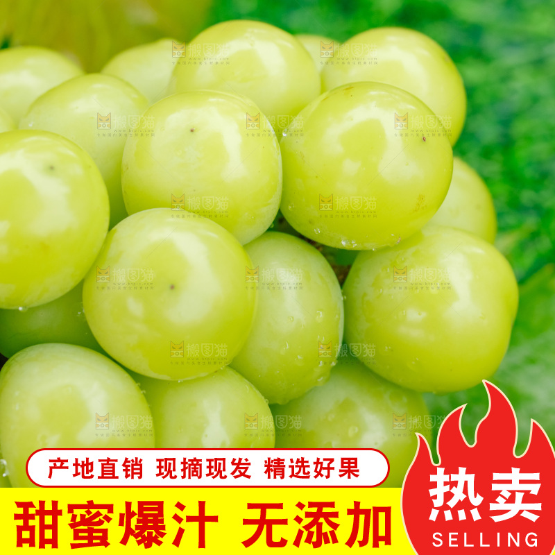 草地上放着阳光玫瑰青提