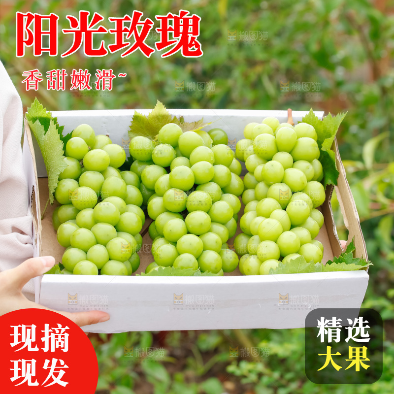 手里拿着阳光玫瑰