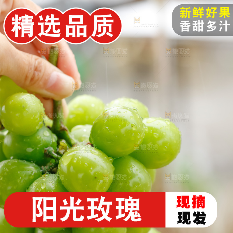 手里拿着阳光玫瑰