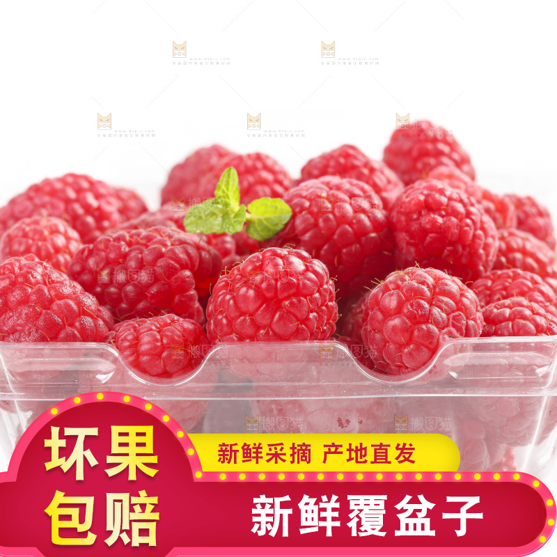 浅底上的新鲜覆盆子
