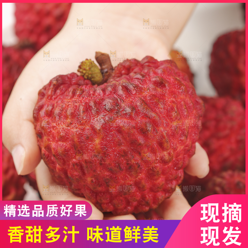 手里拿着荔枝王