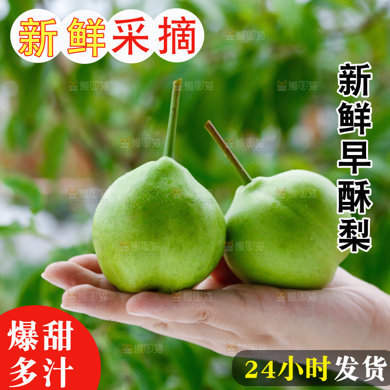手里拿着早酥梨