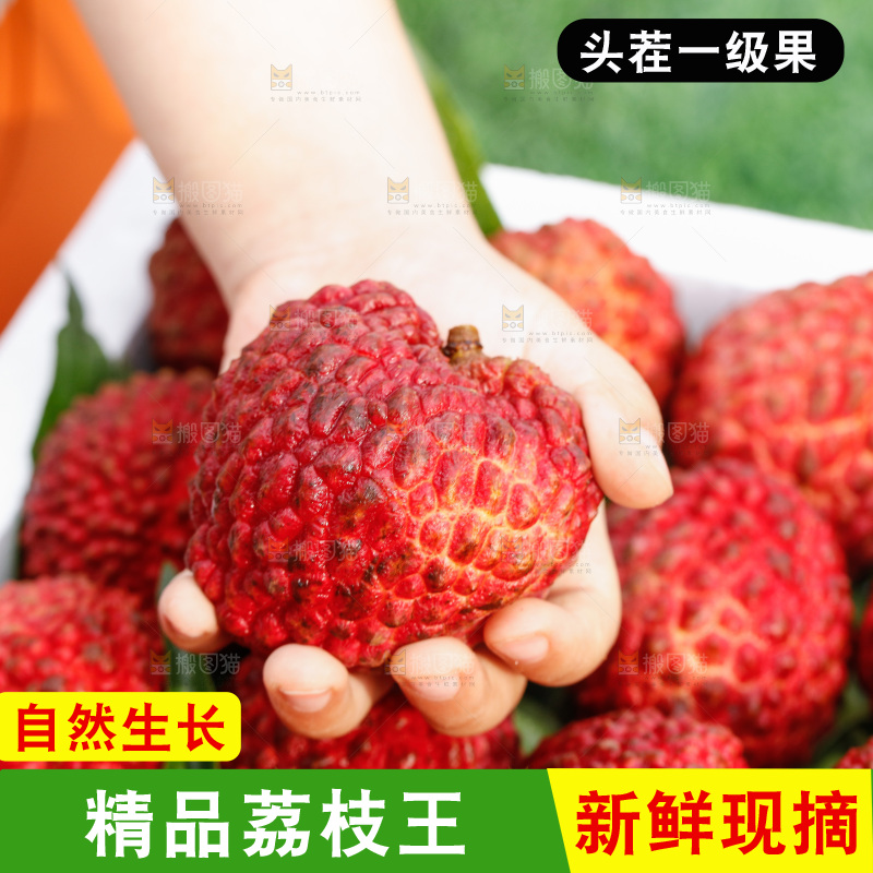 手里拿着荔枝王