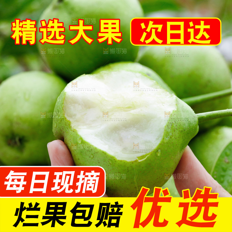 手里拿着早酥梨