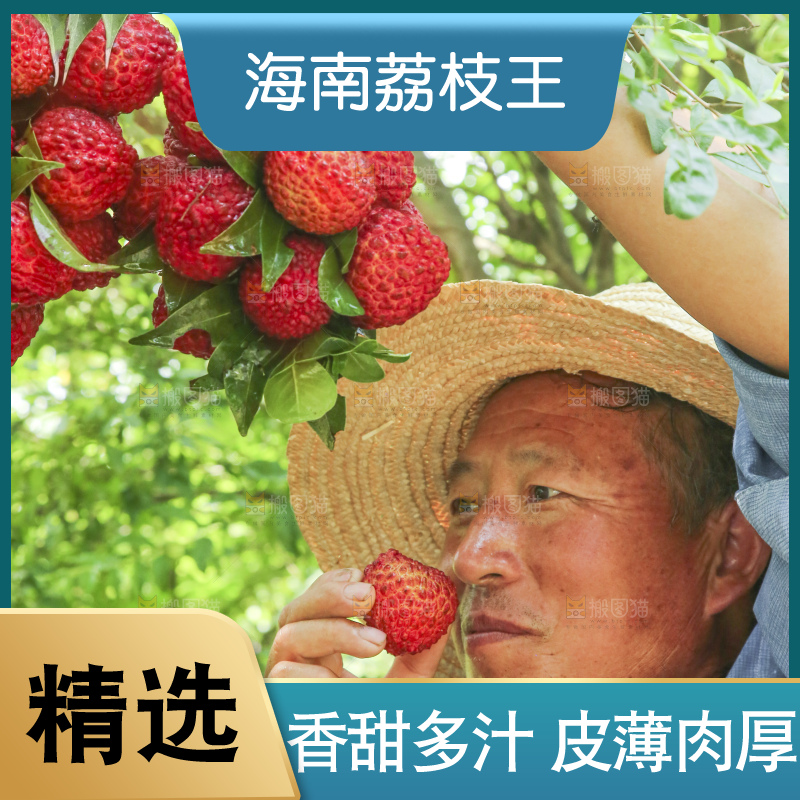 手里拿着荔枝王