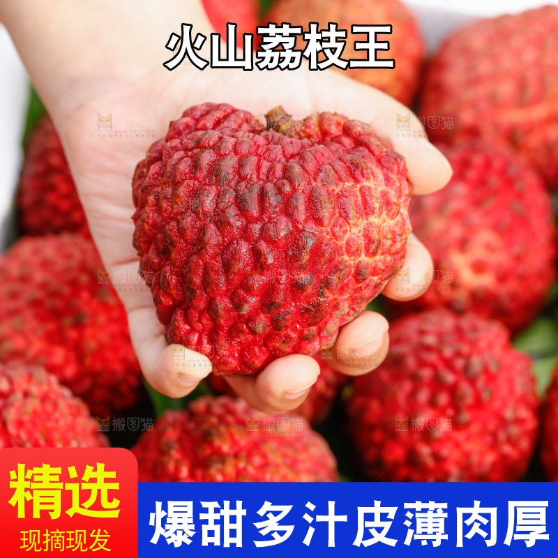手里拿着荔枝王
