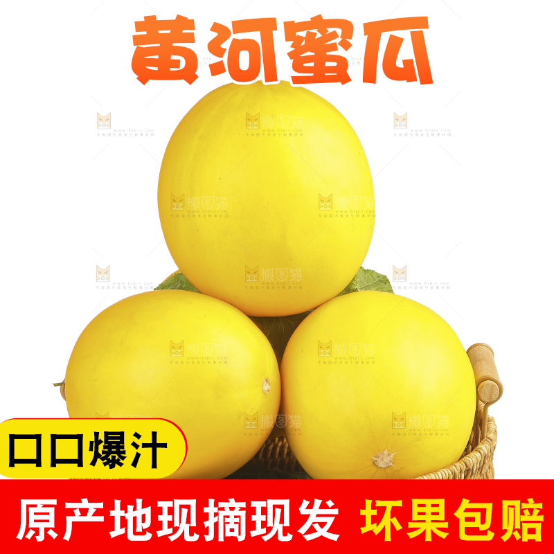 白底上的黄河蜜瓜