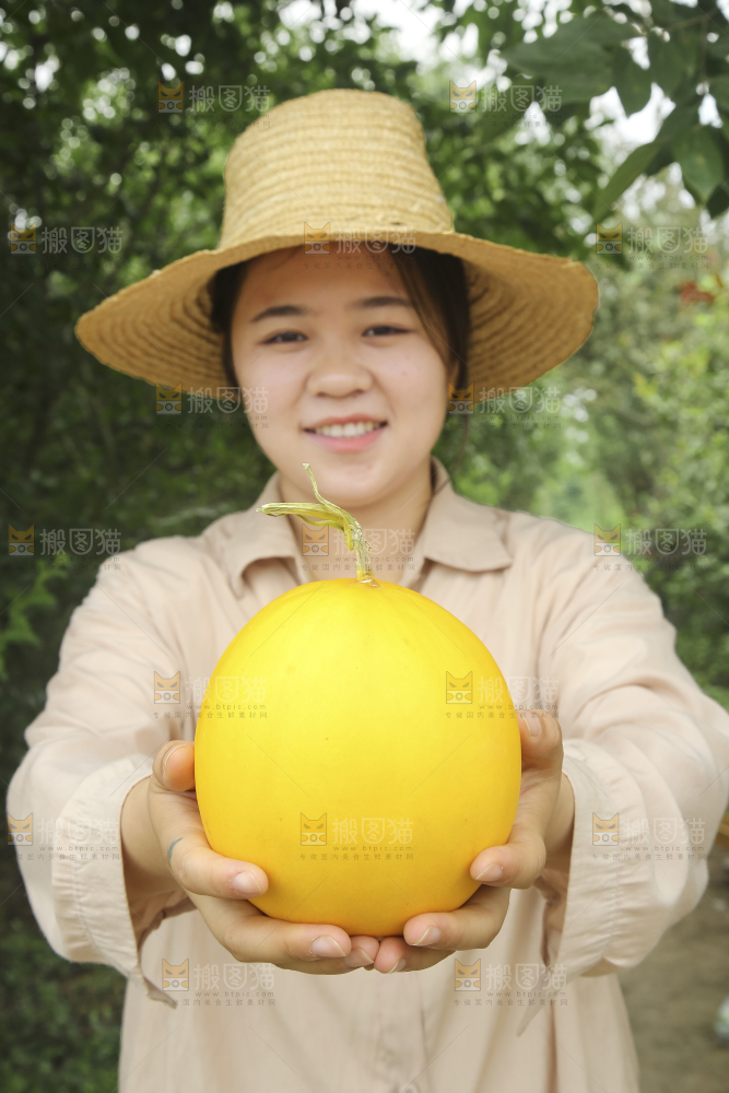 手里拿着的黄河蜜瓜