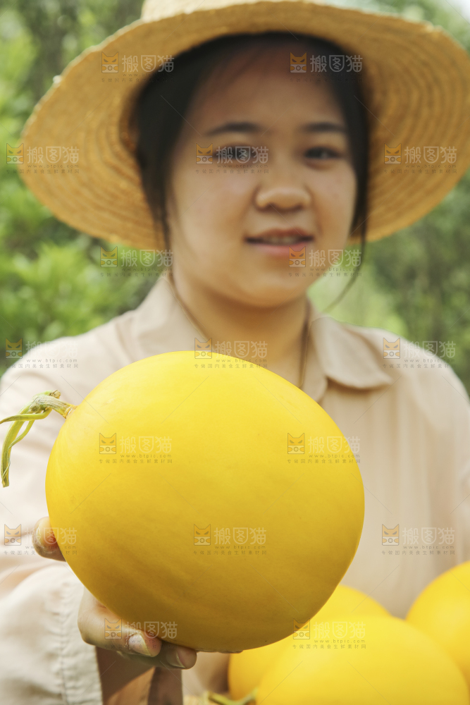手里拿着的黄河蜜瓜