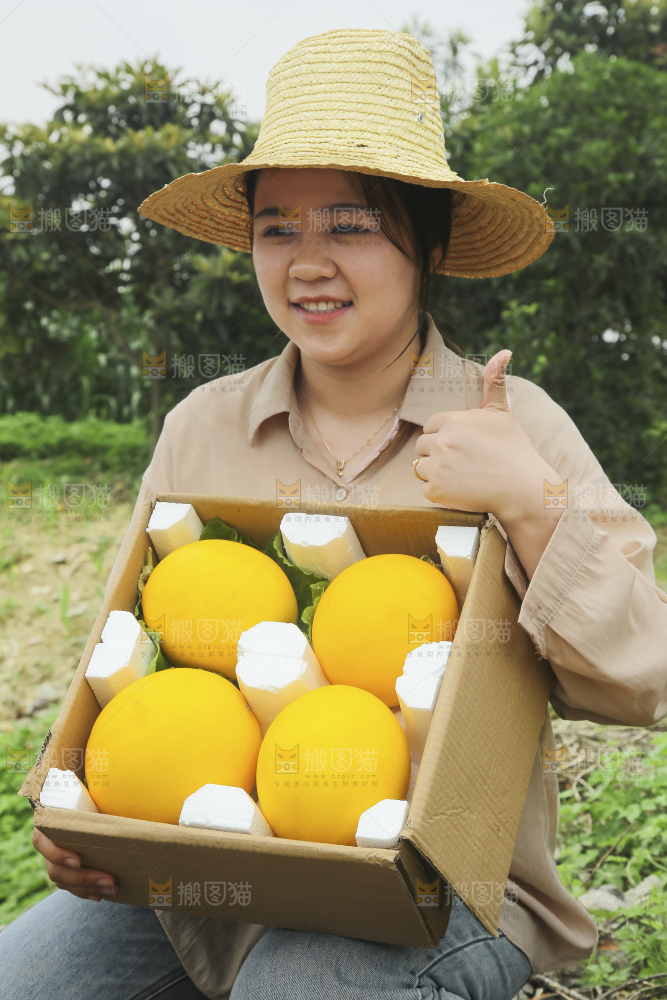 手里拿着的黄河蜜瓜