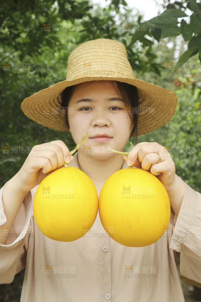 手里拿着的黄河蜜瓜