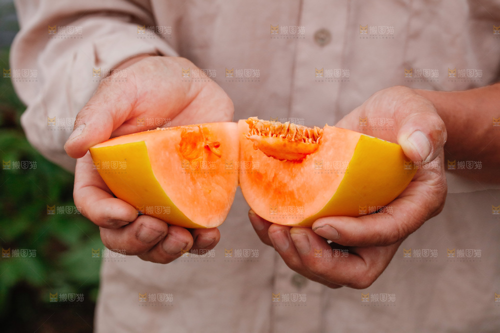 手里拿着的黄河蜜瓜