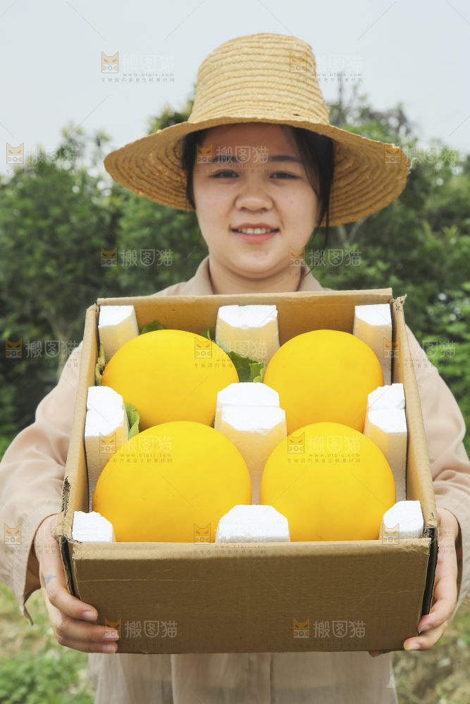 手里拿着的黄河蜜瓜
